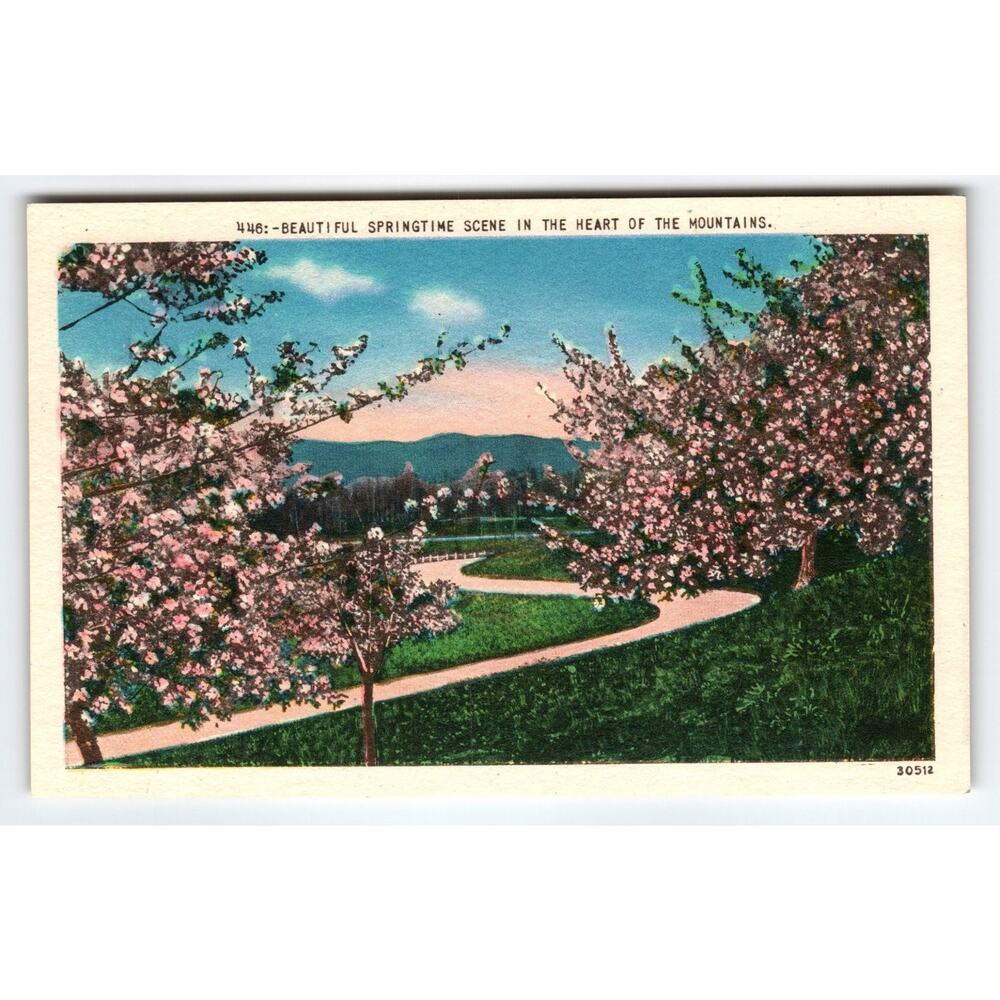 Vintage Linen Postcard Beautiful Springtime Scene Mountains NC